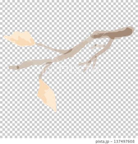 November watercolor illustration series for kindergartens and nurseries | Dead Branches November watercolor illustration series for kindergartens and nurseries | Dead Branches 137497608