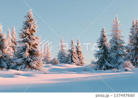 Tranquil winter forest scene with snow covered pines under a clear blue sky 137497680