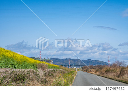 淀川右岸河川敷風景　大阪府高槻市 137497682
