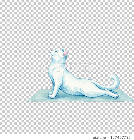 貓咪做瑜珈上犬式,水彩畫,眼鏡蛇式 貓咪做瑜珈上犬式,水彩畫,眼鏡蛇式 137497753