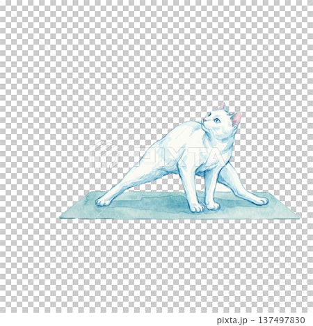 貓咪做瑜珈三角水彩伸展柔軟度 137497830