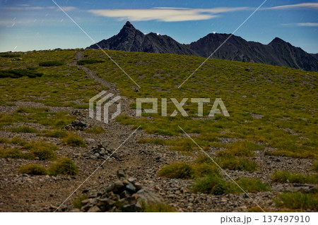 月明りの双六岳山頂平原から見る北アルプス・槍ヶ岳 137497910