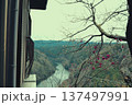 紅葉した蔦の絡まる屋根 137497991
