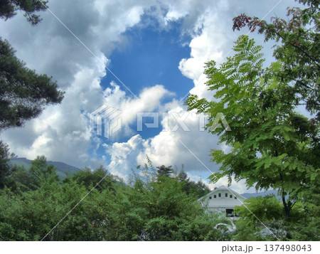 八月の雲-82 137498043