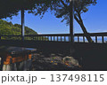 海の見える公園 137498115
