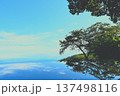 湖面に映る青い空と雲 137498116