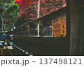 紅葉のある風景 137498121