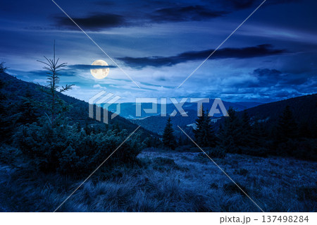 hillside of mountain range with coniferous forest and grassy meadow at night. full moon over beautiful summer landscape with alp. mysterious nature background of highland for earth day hillside of mountain range with coniferous forest and grassy meadow at night. full moon over beautiful summer landscape with alp. mysterious nature background of highland for earth day 137498284