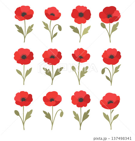 Set of flat style cartoon poppy flowers Set of flat style cartoon poppy flowers 137498341