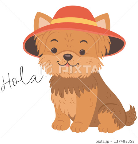 Cute yorkshire terrier dog wearing sombrero hat English translation for Hola is Hello Cute yorkshire terrier dog wearing sombrero hat English translation for Hola is Hello 137498358