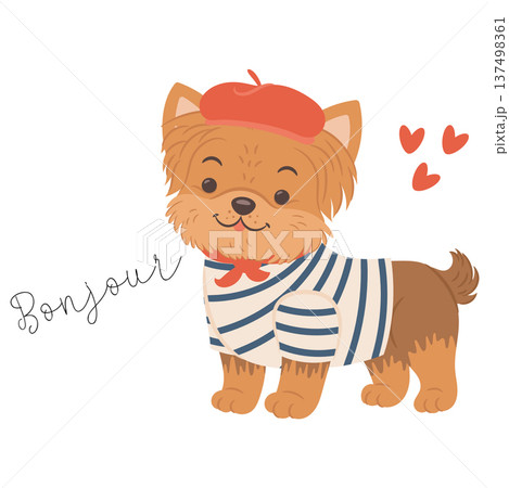 Cute yorkshire terrier dog in french outfit. English translation for Bonjour is Hello Cute yorkshire terrier dog in french outfit. English translation for Bonjour is Hello 137498361