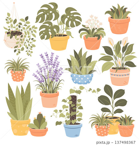 Set of of indoor house plants in decorative pots. Cute flat vector botanical illustrations perfect for home decor design, stickers, gardening themes, planners and print products. 137498367