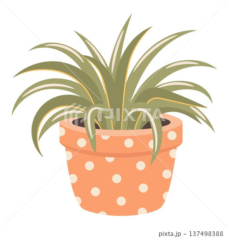 Dracaena indoor house plant in decorative pot. Cute flat vector botanical illustration perfect for home decor design, stickers, gardening themes, planners and print products. Dracaena indoor house plant in decorative pot. Cute flat vector botanical illustration perfect for home decor design, stickers, gardening themes, planners and print products. 137498388