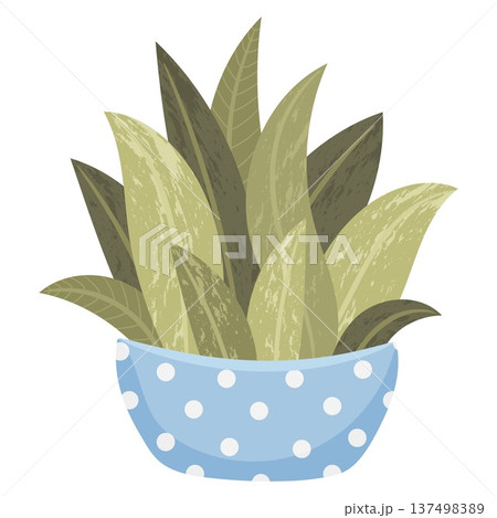 Sansevieria indoor house plant in decorative pot. Cute flat vector botanical illustration perfect for home decor design, stickers, gardening themes, planners and print products. 137498389