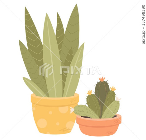 Sansevieria and blossom cactus indoor house plants in decorative pots. Cute flat vector botanical illustration perfect for home decor design, stickers, gardening themes, planners and print products. 137498390