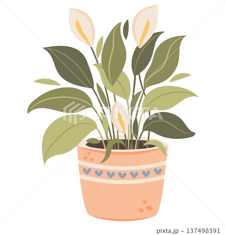 Peace lily indoor house plant in decorative pot. Cute flat vector botanical illustration perfect for home decor design, stickers, gardening themes, planners and print products. 137498391