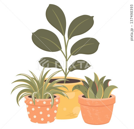Ficus, dracaena and cactus indoor house plants in decorative pot. Cute flat vector botanical illustration perfect for home decor design, stickers, gardening themes, planners and print products. Ficus, dracaena and cactus indoor house plants in decorative pot. Cute flat vector botanical illustration perfect for home decor design, stickers, gardening themes, planners and print products. 137498393