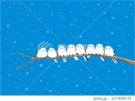 雪が降っている枝に群れでとまっているシマエナガのイラスト 雪が降っている枝に群れでとまっているシマエナガのイラスト 137498572