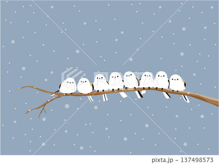 り空に雪が降る枝に群れでとまっているシマエナガのイラスト り空に雪が降る枝に群れでとまっているシマエナガのイラスト 137498573