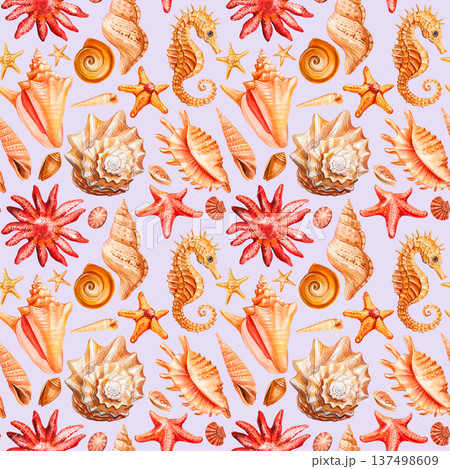 Seahorse seashell patterns with orange starfish coral and conch shells on lilac background Seahorse seashell patterns with orange starfish coral and conch shells on lilac background 137498609