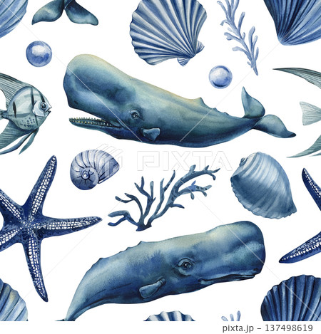 Sperm whale ocean pattern with blue shells starfish coral and fish on white background 137498619