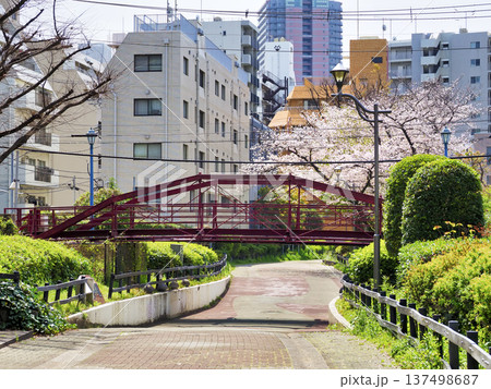 八幡橋(旧弾正橋)重要文化財・江東区 八幡橋(旧弾正橋)重要文化財・江東区 137498687