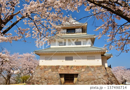 長岡城の桜 長岡城の桜 137498714