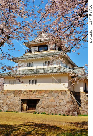 長岡城の桜 長岡城の桜 137498716