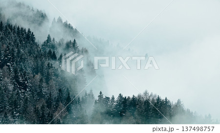 Aerial View of Winter Mountain Forest with Clouds 137498757
