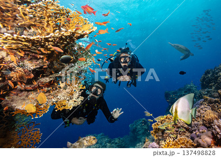 Scuba Diver Swimming in Deep Sea with Sunrays and Beautiful Coral Reef with Colorful Fishes 137498828