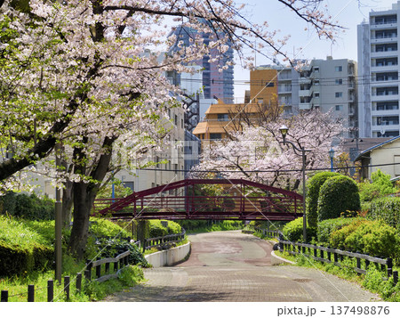 八幡橋(旧弾正橋)重要文化財・江東区 137498876