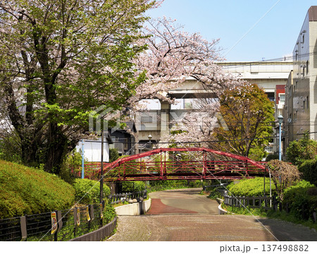 八幡橋(旧弾正橋)重要文化財・江東区 八幡橋(旧弾正橋)重要文化財・江東区 137498882