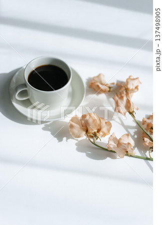 白いテーブルにコーヒーカップとやわらかなオレンジ色の花 春の朝イメージ 白いテーブルにコーヒーカップとやわらかなオレンジ色の花 春の朝イメージ 137498905