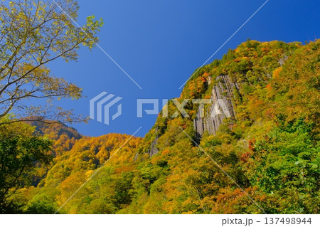 秋山郷の布岩と紅葉 秋山郷の布岩と紅葉 137498944
