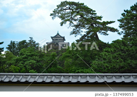 松江城　天守閣 137499053