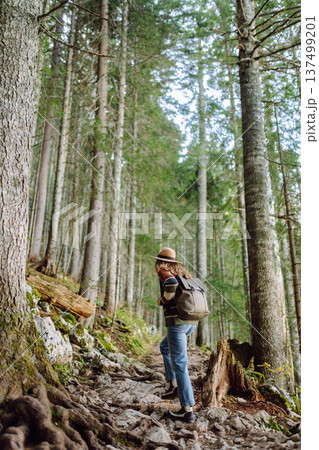 Woman with backpack hiking outdoors in the Forest. Trekking in the Pine Woods. Hiking lifestyle Woman with backpack hiking outdoors in the Forest. Trekking in the Pine Woods. Hiking lifestyle 137499201