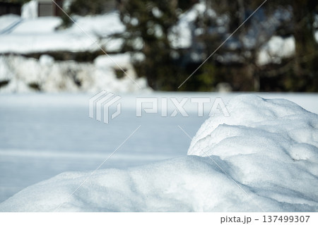 冬の陽光を浴びて輝く新雪の質感とボケ味のある雪景色 137499307