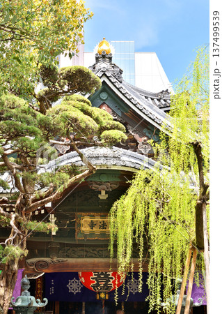 六角堂の本堂 137499539