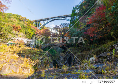 秋の宮崎県高千穂町　紅葉の高千穂峡　高千穂三橋 137499557