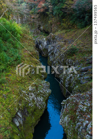 秋の宮崎県高千穂町 紅葉の高千穂峡 秋の宮崎県高千穂町 紅葉の高千穂峡 137499565