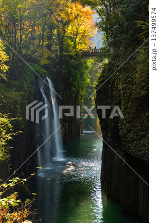 秋の宮崎県高千穂町　紅葉の高千穂峡　真名井の滝 137499574