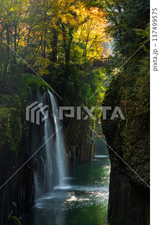 秋の宮崎県高千穂町　紅葉の高千穂峡　真名井の滝 137499575