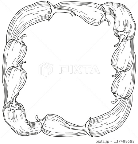 Hand-drawn frame made of fresh chili and ramiro pepper graphic sketch for product design isolated on white background 137499588