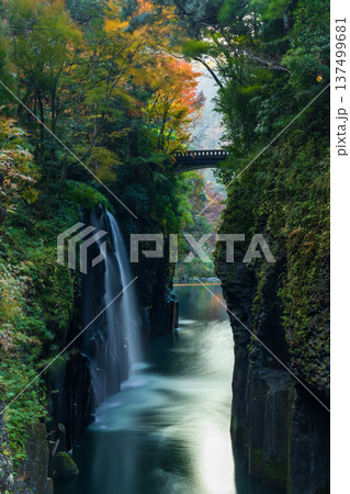 秋の宮崎県高千穂町 紅葉の高千穂峡 真名井の滝 秋の宮崎県高千穂町 紅葉の高千穂峡 真名井の滝 137499681