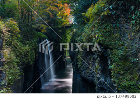 秋の宮崎県高千穂町 紅葉の高千穂峡 真名井の滝 秋の宮崎県高千穂町 紅葉の高千穂峡 真名井の滝 137499682