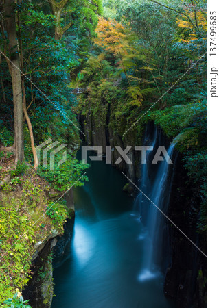 秋の宮崎県高千穂町 紅葉の高千穂峡 真名井の滝 秋の宮崎県高千穂町 紅葉の高千穂峡 真名井の滝 137499685