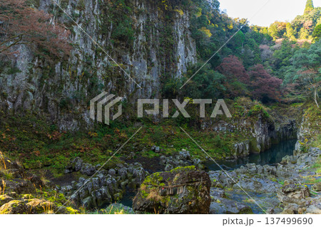 秋の宮崎県高千穂町　紅葉の高千穂峡　鬼八の力石と仙人の屏風岩 137499690