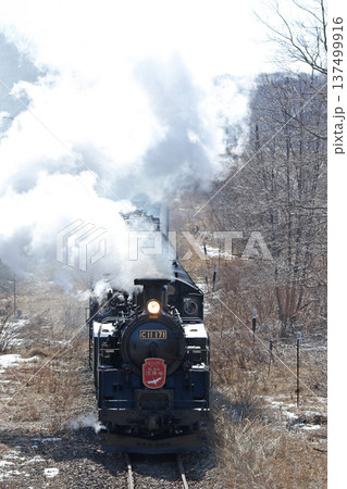 SL冬の湿原号 釧網本線 SL列車 蒸気機関車 C11 171 SL冬の湿原号 釧網本線 SL列車 蒸気機関車 C11 171 137499916