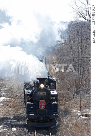 SL冬の湿原号　釧網本線　SL列車　蒸気機関車　C11 171 137499917