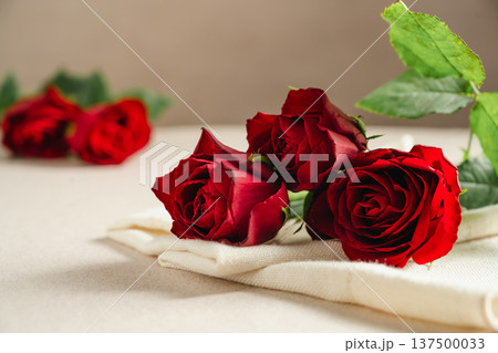 Mother's Day or Valentine's Day background. Red rose flowers on neutral background. Greeting card template, copy space Mother's Day or Valentine's Day background. Red rose flowers on neutral background. Greeting card template, copy space 137500033